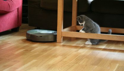 Best Roomba for pet hair