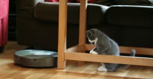 Best Roomba for pet hair scaled