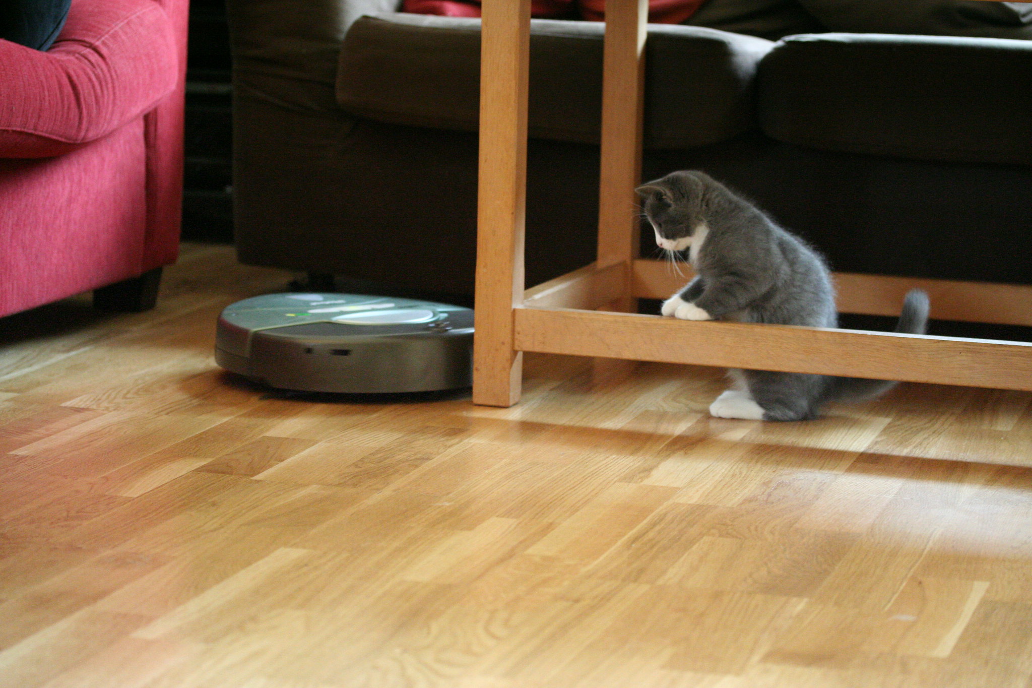 Best Roomba for pet hair
